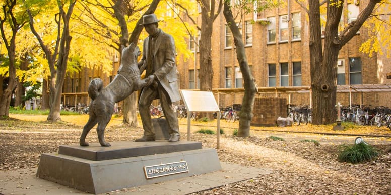 Hachiko, der Hund Rasse, Film, Statue in Japan